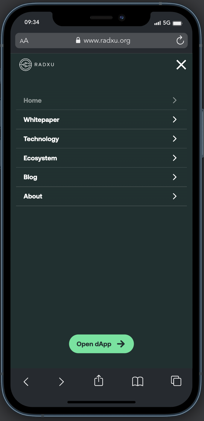 Radxu Landing Mobile 2